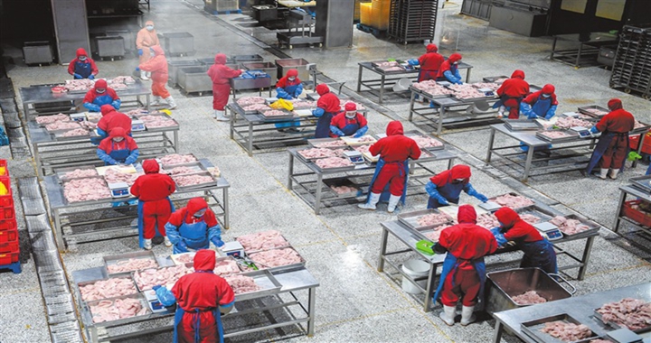 汾西新希望六和食品公司：深耕肉雞產業鏈 寫活致富新篇章